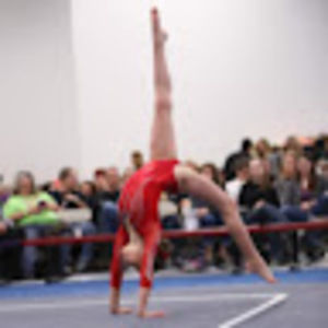 Meet your Posher, Scout